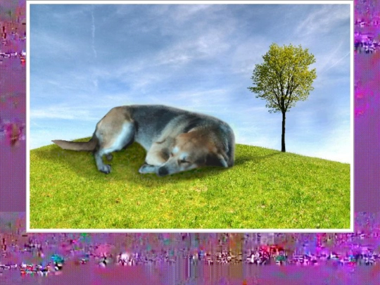 rosiechillin1 screenshot