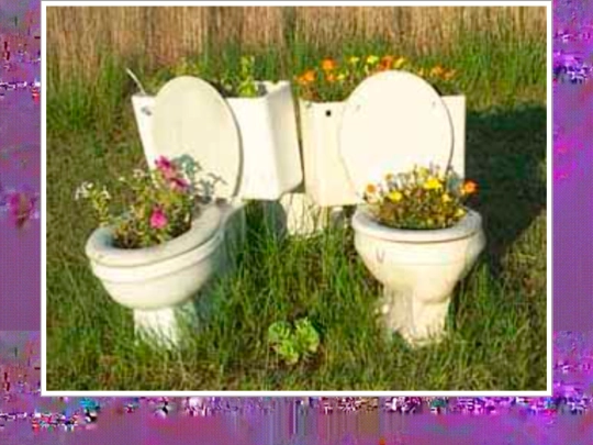toiletsflower screenshot