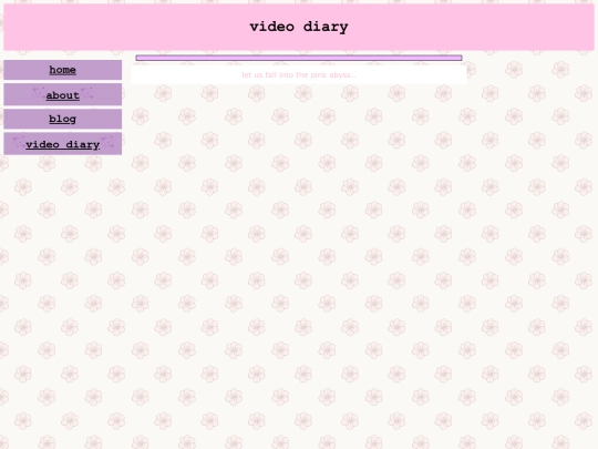 videodiary screenshot