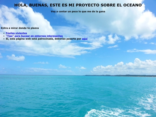 Proyecto screenshot