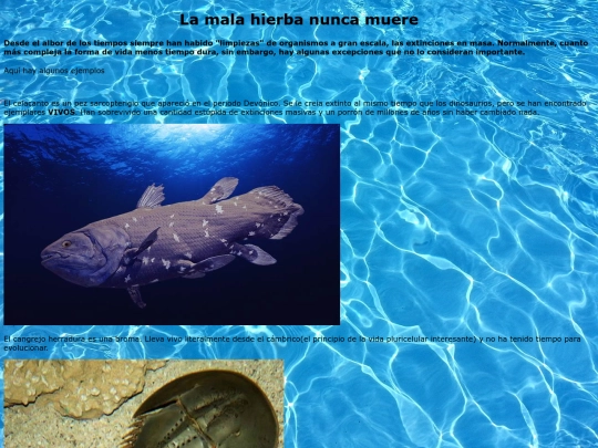 Proyecto1 screenshot