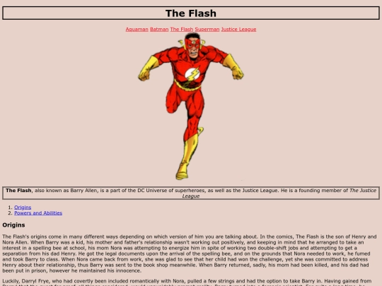 Flash screenshot
