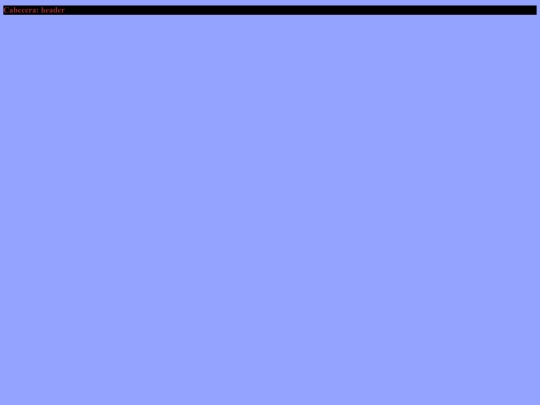 pag/declaracion screenshot