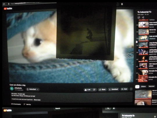 1212/3dollarsatanantiquestore screenshot