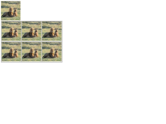 imagenes/fotos screenshot