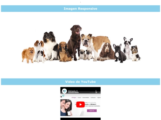 vidimaaud screenshot