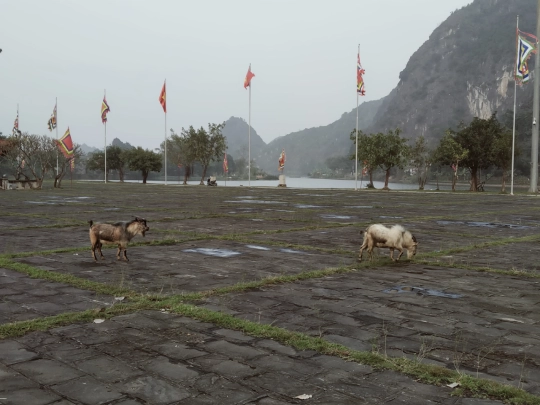 creatingspace screenshot