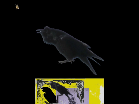 crow screenshot