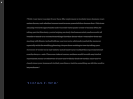 Misanthropist_s Anonymous Final Submission screenshot