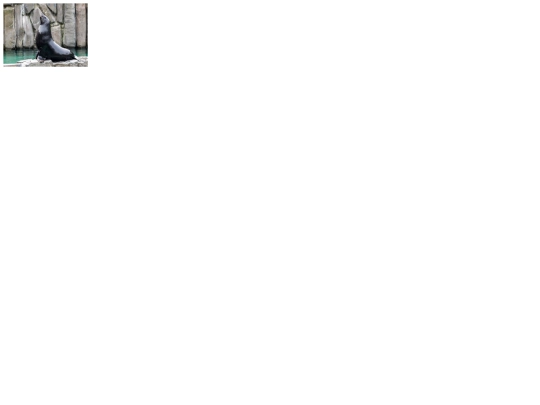 Galerie/lachtan screenshot