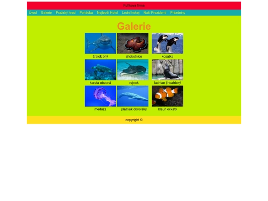 galerie screenshot