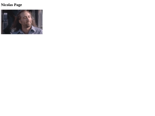NIC screenshot