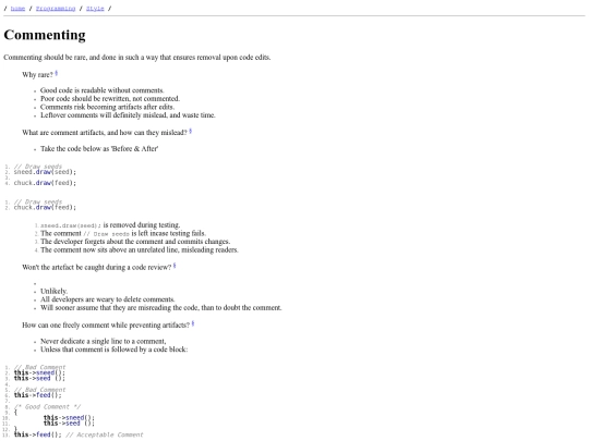 Programming/Style/commenting screenshot
