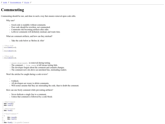 Programming/Style/comments screenshot