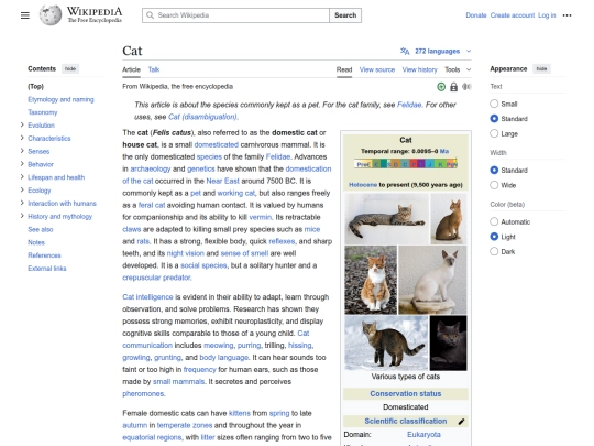 cat screenshot