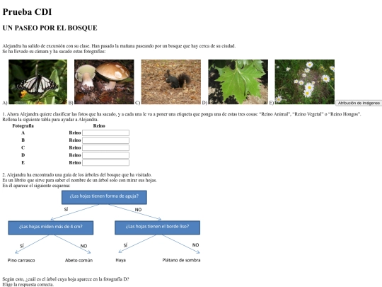 pruebacdi6 screenshot