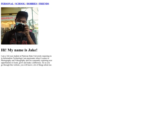 Web System screenshot
