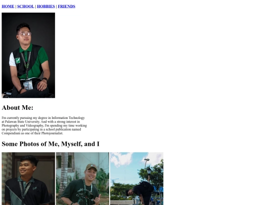 Web System/page1 screenshot