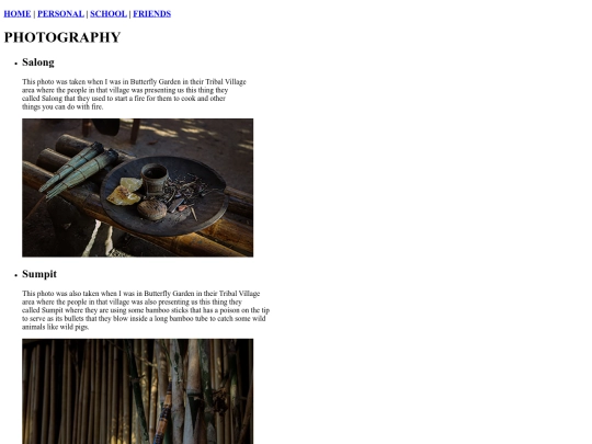Web System/page3 screenshot