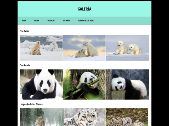 galeria screenshot
