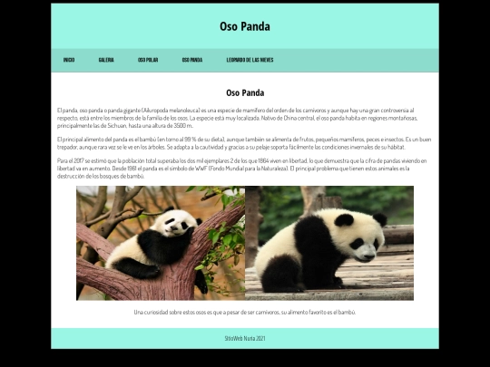 oso-panda screenshot