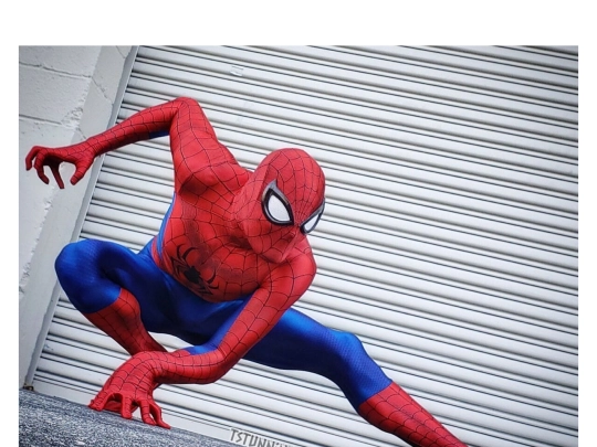 spider screenshot