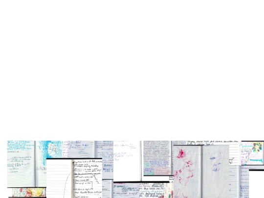notebook/concurrentnotes screenshot
