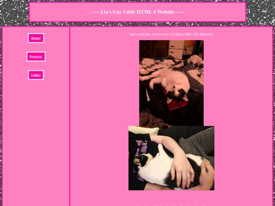 90scatpix screenshot