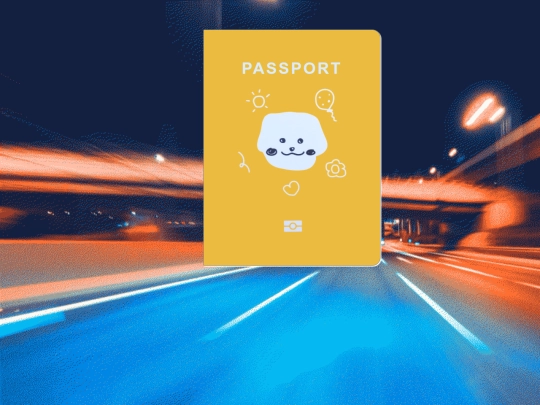 layout_tests/doqmeat_yukikapassport screenshot