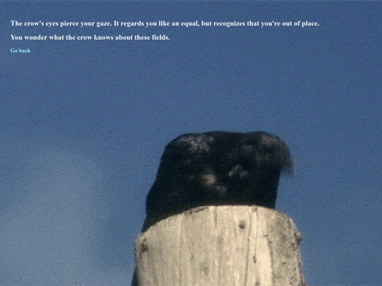 pages/crow screenshot
