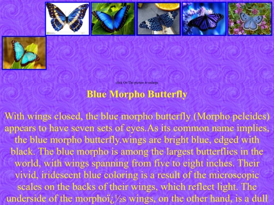 blue1 screenshot