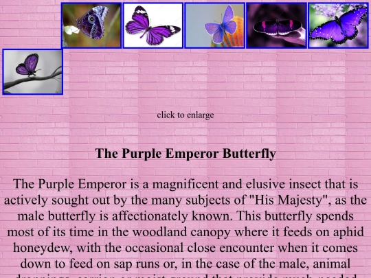 purple1 screenshot