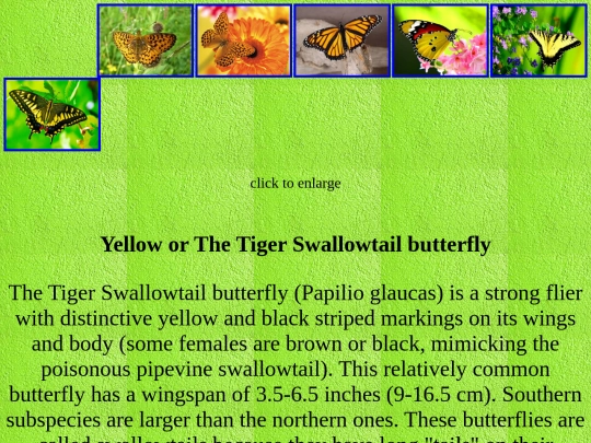 yellow1 screenshot