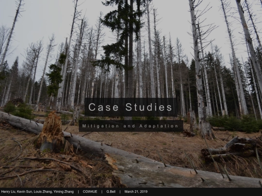 Case screenshot