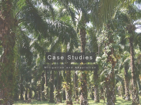 CaseP screenshot