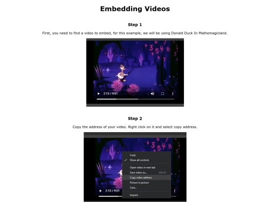 video screenshot