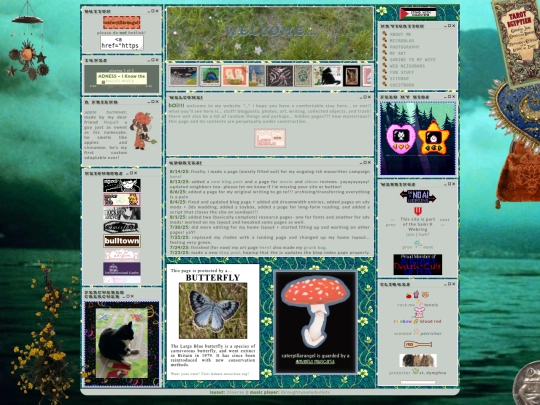home screenshot