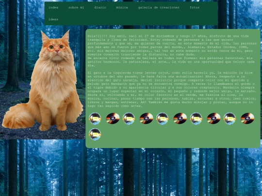sobre_mi screenshot