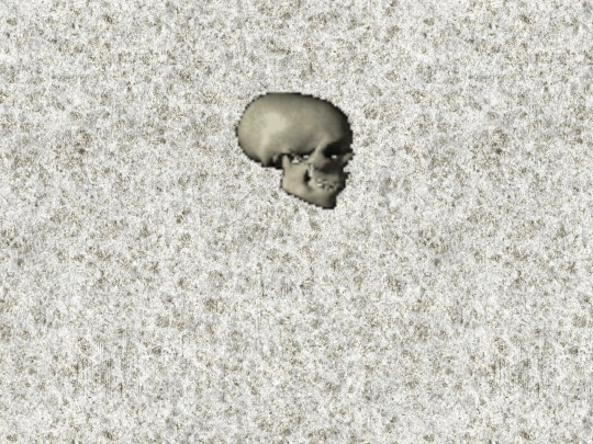 bone screenshot
