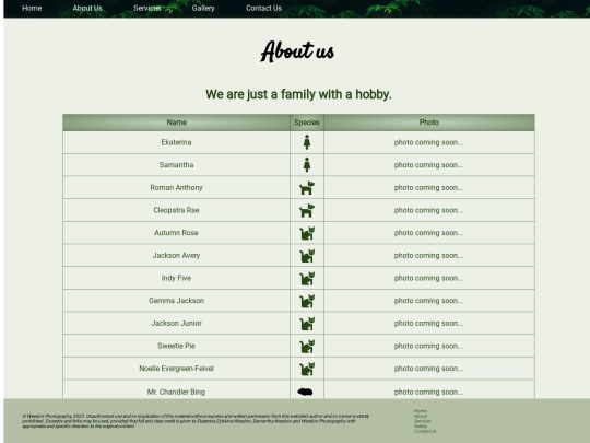 assets/about screenshot