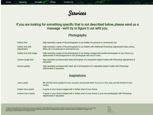 assets/services screenshot