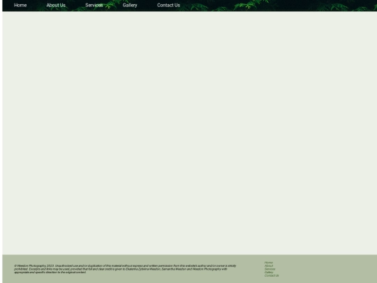 assets/template screenshot