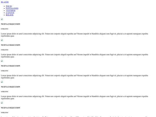 paginas_web/blazers screenshot