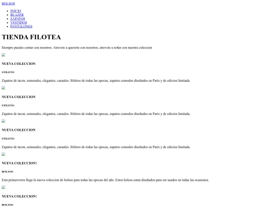 paginas_web/bolsos screenshot