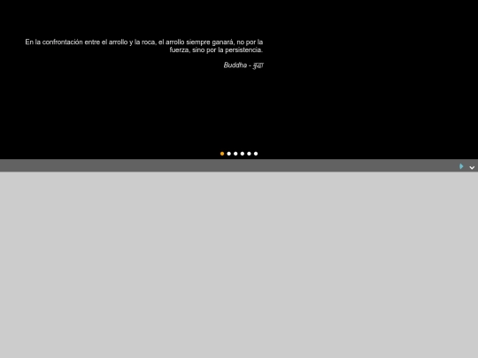 citas_y_localStorage screenshot