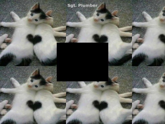 test screenshot