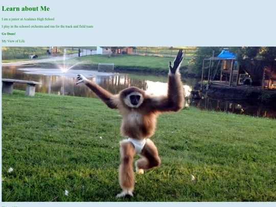 about screenshot