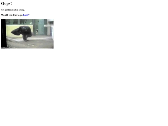mandrills/mandrillwrong5 screenshot