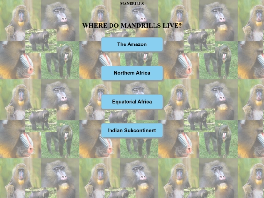 mandrills/wheredomandrillslive screenshot