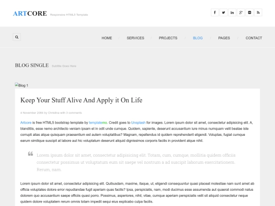 blog-single screenshot